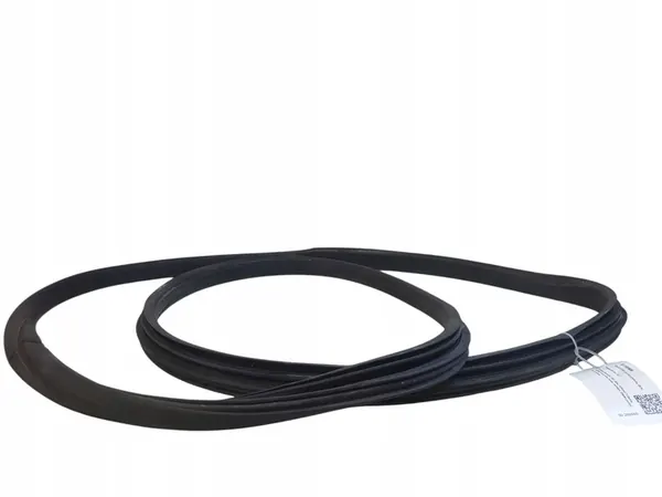 Vordertürdichtung linke Seite Peugeot 207 image 3