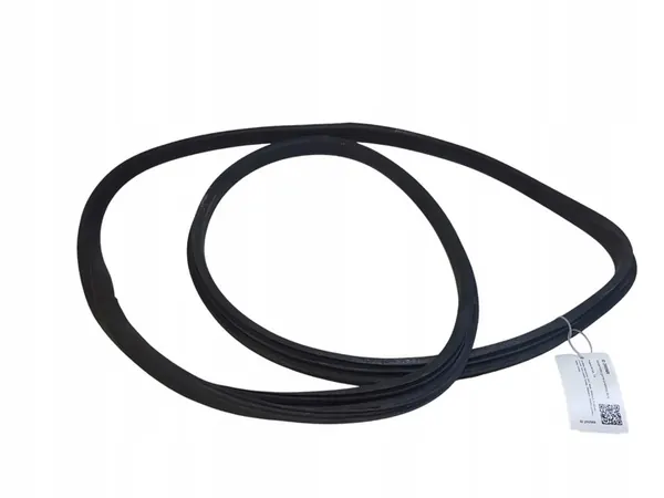 Vordertürdichtung linke Seite Peugeot 207 image 4