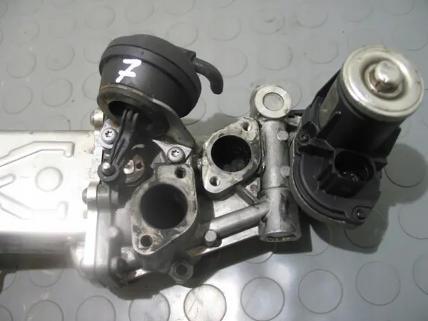EGR-Kühler 1.6 TDI Volkswagen OE image 3