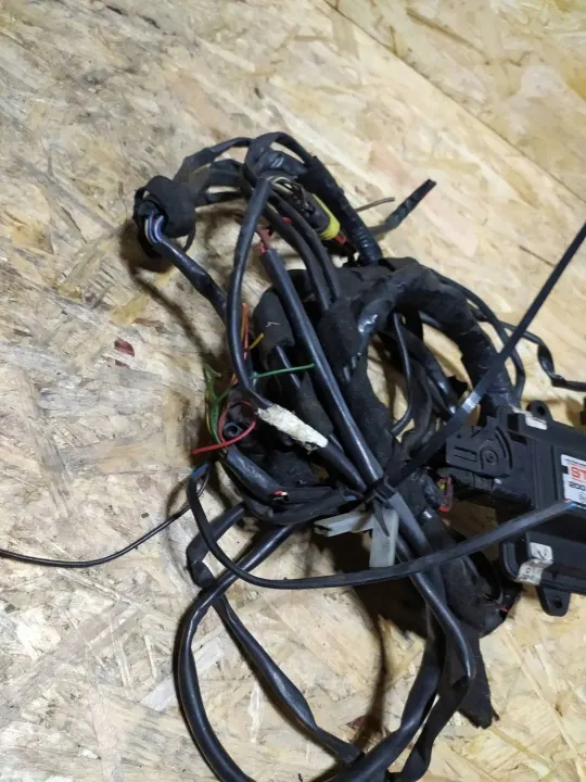 Controlador LPG Stag 200 Go Fast usado OEM IMPRK1546302 image 4