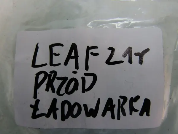 LEAF II ZE1 21R Lampe LED Port de Charge image 7