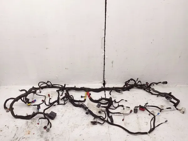 Bedrading Ford Mustang Mach-E image 1