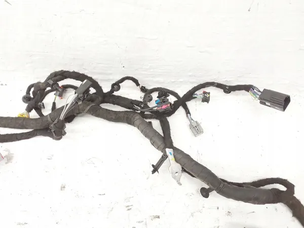 Bedrading Ford Mustang Mach-E image 2