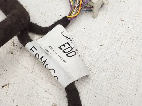 Bedrading Ford Mustang Mach-E image 3