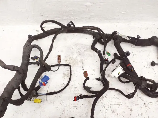 Bedrading Ford Mustang Mach-E image 5