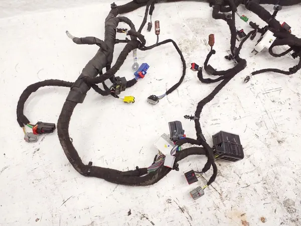 Bedrading Ford Mustang Mach-E image 6