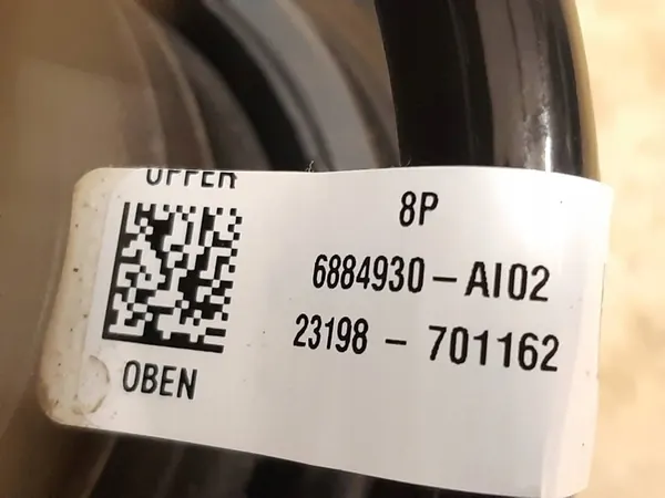 Ammortizzatore Anteriore Sinistro BMW X4 G02 10km image 3