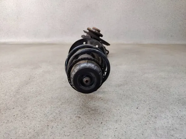 Rechte vordere MacPherson-Feder OEM AOP46244 image 3