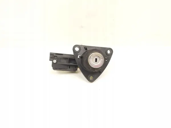 Bouton de verrouillage de hayon Dacia Duster 2013 image 1