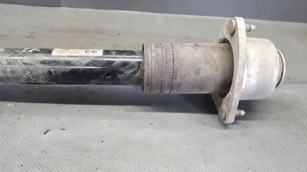 Amortizzatore posteriore sinistro BMW X5 6783017-02 image 7