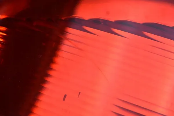 Lámpara Trasera Izquierda 5P8945111A Seat Altea 04-09 image 9