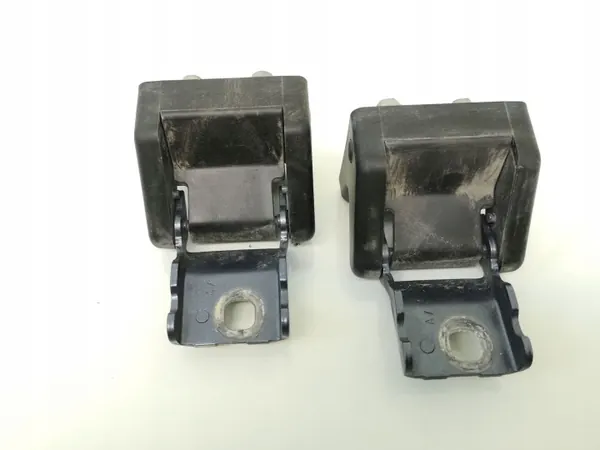 Bisagras de maletero Citroen C6 OEM 9656520480 image 2