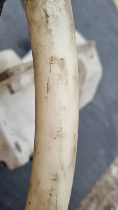 Pesunesteen säiliö VW T5 image 8