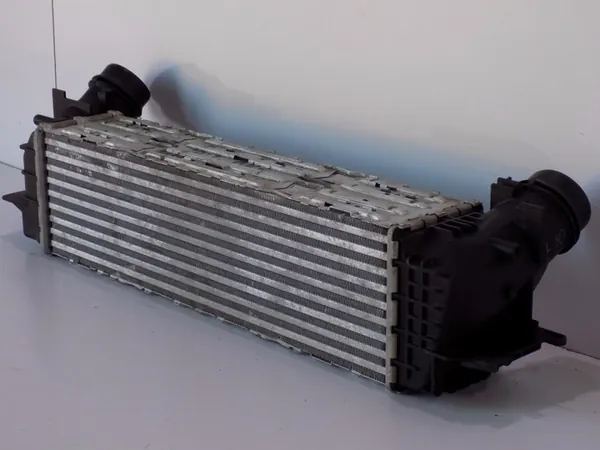 BMW 5 F10 / F11 Radiatore d'Aria 17117618769 image 2