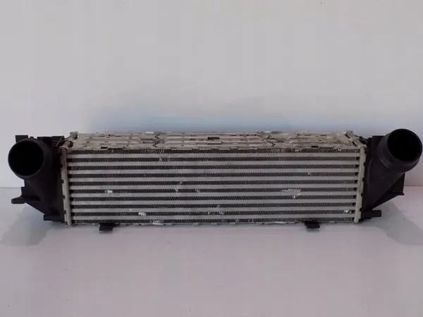 BMW 5 F10 / F11 Radiatore d'Aria 17117618769 image 4