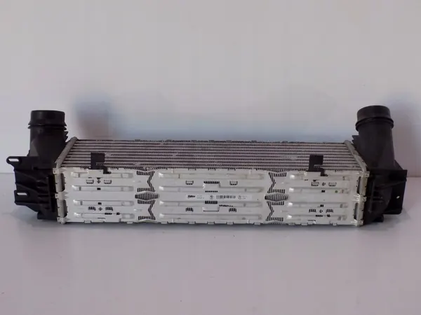 BMW 5 F10 / F11 Radiatore d'Aria 17117618769 image 5