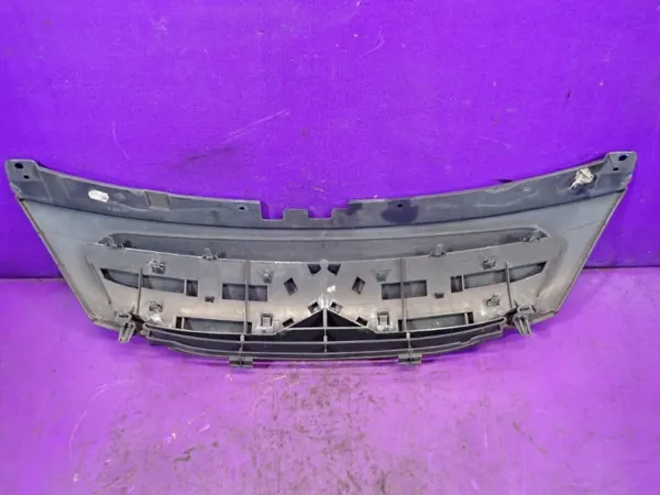 Jäähdyttimen ritilä OEM Zawada-381124- Citroen C3 2005-2009 image 5
