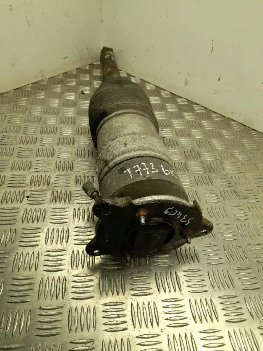 Tesla Luftfederung Dämpfer OEM 600635207A Links Hinten image 2