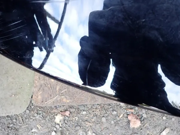 Heckklappe Tesla Model 3 2017-2020 OEM 1081460-E0-D image 6