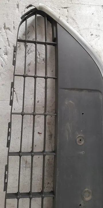 Griglia Ford Focus II image 2