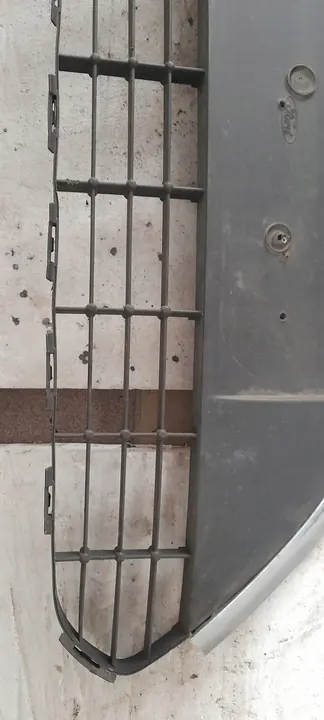 Griglia Ford Focus II image 3