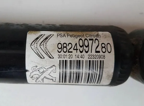 Ammortizzatore posteriore Citroen C3 Aircross 2020 9824997280 image 4