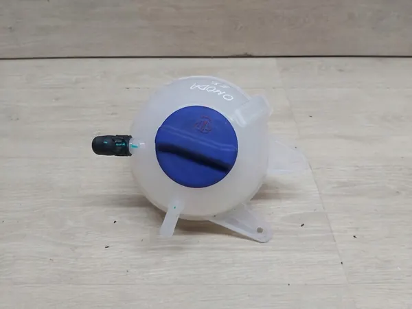 Reservatório de refrigerante OMODA 5 E5 Jaecoo 7 302001073AA image 3