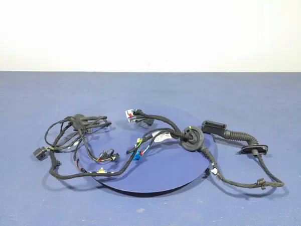 Audi Q7 II Oviopastus OEM 4M0971687FS image 2
