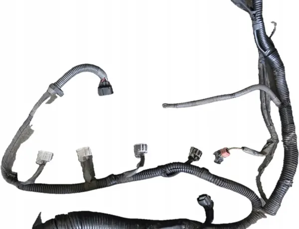 Moottorin Johdotus OEM 24012-EB38D Nissan Navara image 3