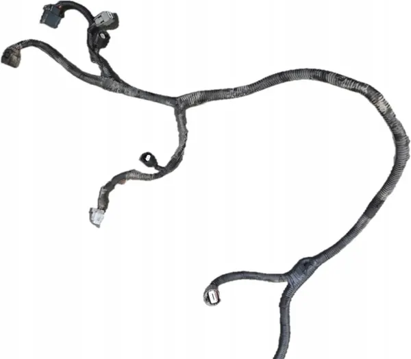 Moottorin Johdotus OEM 24012-EB38D Nissan Navara image 6