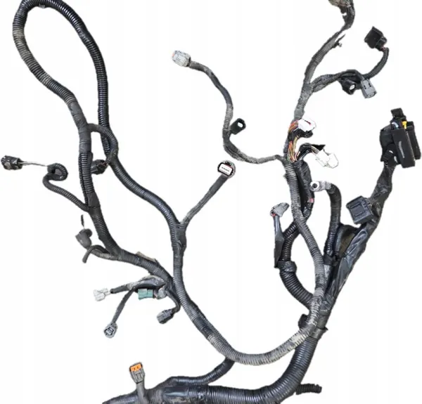 Moottorin Johdotus OEM 24012-EB38D Nissan Navara image 7