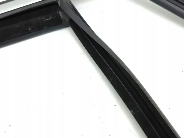 Junta janela AMD153546 OEM porta traseira esquerda image 4