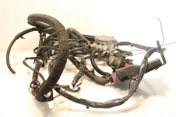 Gebrauchtes LPG-Set OEM E3110R001001 Toyota Yaris II image 2