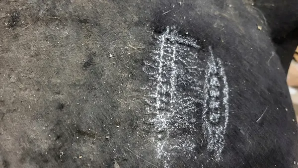 4G8821171D Guardabarros Izquierdo Audi VW image 6