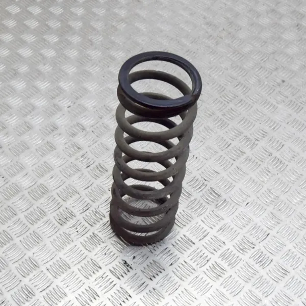 Hintere rechte Stoßdämpferfeder OEM A1073240604 Mercedes image 4