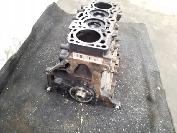 Gebrauchter Skoda Motorblock OEM CAYT für Superb B6 image 3
