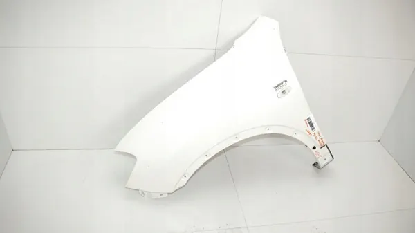 Vorderer linker Kotflügel OEM 365577564 für Nissan Qashqai J10 image 3