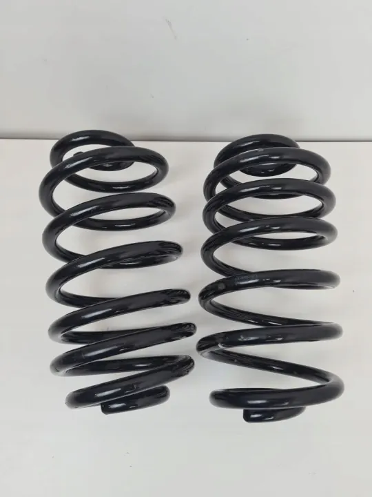 Muelles suspensión trasera OEM 742378187876 para Opel Insignia image 3