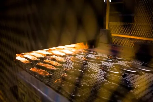 BOSCH PASTILLAS DE FRENO CITROEN DELANTERAS BERLINGO XSAR image 5