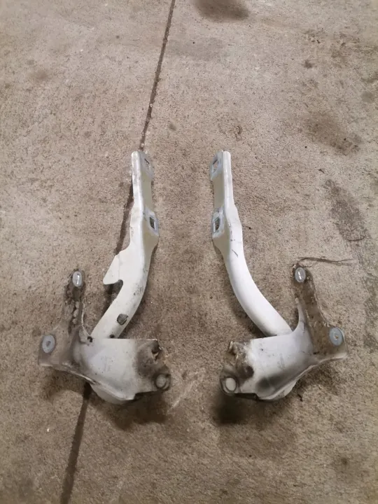 OEM lkjhgfdrftgh Peugeot 308 Motorkapscharnier Wit image 2