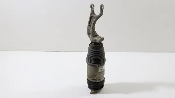 Ammortizzatore Pneumatico Anteriore Tesla Model X 2015-2019 1027361-00-G image 2