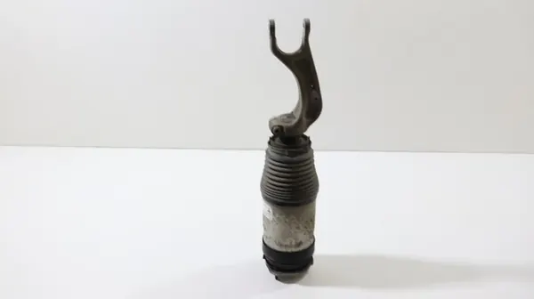 Ammortizzatore Pneumatico Anteriore Tesla Model X 2015-2019 1027361-00-G image 3