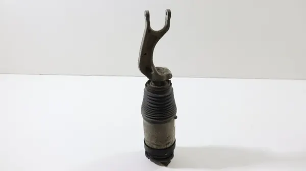 Ammortizzatore Pneumatico Anteriore Tesla Model X 2015-2019 1027361-00-G image 4