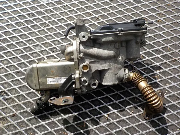 Enfriador de escape RENAULT MEGANE III 1.9 DCI 8200804050 image 2