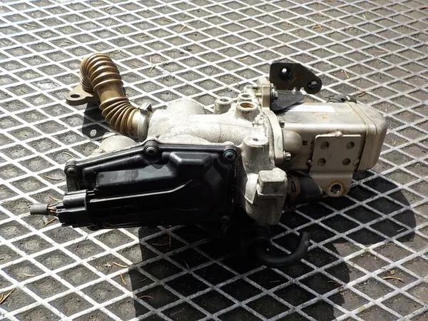 Enfriador de escape RENAULT MEGANE III 1.9 DCI 8200804050 image 4