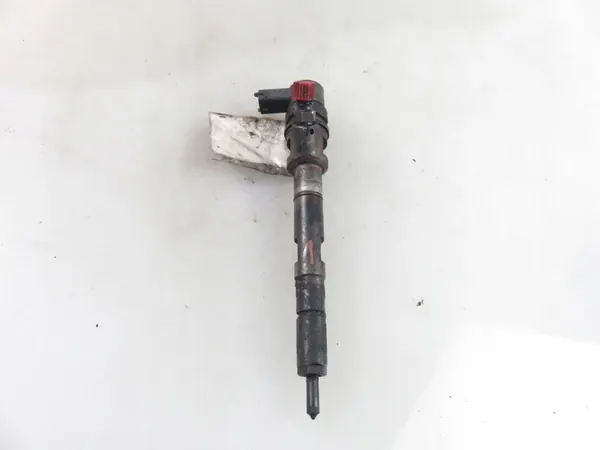 Insprutare Hyundai H-1 2.5 CRDi 338004A600 0445110278 image 4