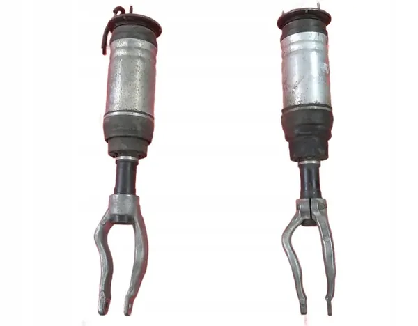 Jaguar I-PACE Etu-ilmajousitus OEM AMxOE101045 image 2