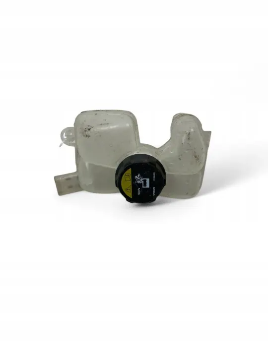 Volvo XC90 2016 Réservoir de liquide OEM 31338410 image 2
