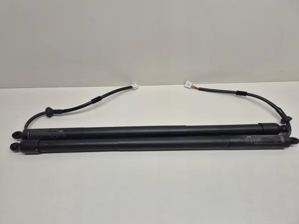 Lexus RX 450H achterklepstempels OEM 68920-48010 image 2