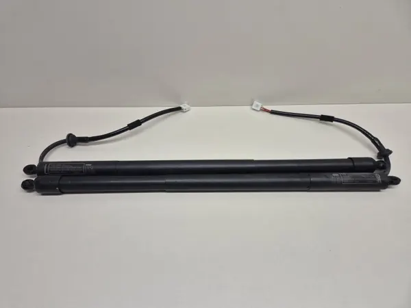 Lexus RX 450H achterklepstempels OEM 68920-48010 image 5